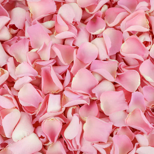 A Natural Remedy for Rosacea and Eczema - Rose Petal Infused Castor Oil